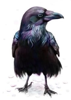 a drawing of a black bird with purple feathers