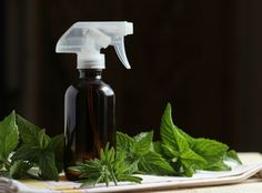 a bottle of spray sitting on top of a table next to some mints and leaves