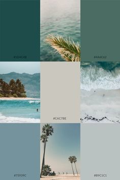 Contemporary Coastal Color Palette, Coastal Chic Color Palette, Blue Green Moodboard Aesthetic, Blue Green Sand Color Palette, Tropic Color Palette, Moody Beach Color Palette, Beach Wedding Green Color Palettes, Beach Color Palette Hex Codes, Seaglass Color Palette Wedding