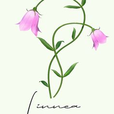 a pink flower with green leaves and the word june written in cursive writing