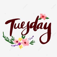 the word tuesday written with flowers and leaves on a white background, lettering, font, flower png and psd