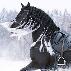 a horse that is sitting in the snow with a saddle on it's back