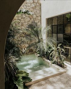 an outdoor hot tub surrounded by tropical plants