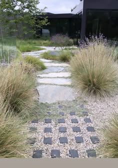 a garden with stones and grass in front of a black building that has a checkerboard design on it