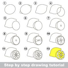 step by step drawing instructions to learn how to draw lemons for kids and adults