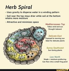 Herb Spiral Layout, Herb Spiral With Pond, Field Garden Ideas, Spiral Herb Garden Ideas, Apothecary Garden Layout, House Planting Ideas, Spiral Garden Design, Gardening Layout Ideas, Witch Garden Design