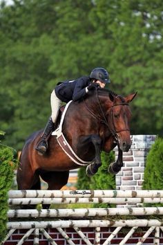 a person on a horse jumping over an obstacle