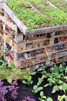 a stack of wooden pallets filled with plants and seed boxes covered in green moss