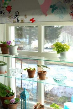 a window sill filled with potted plants next to a window covered in butterflies