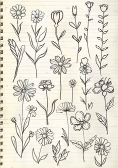 an open notebook with flowers drawn on it