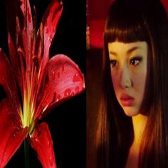 a woman with long brown hair next to a red flower