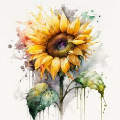 a watercolor painting of a sunflower with drops of paint on it's petals