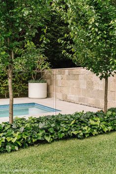 an outdoor pool surrounded by trees and shrubbery, with a planter in the foreground