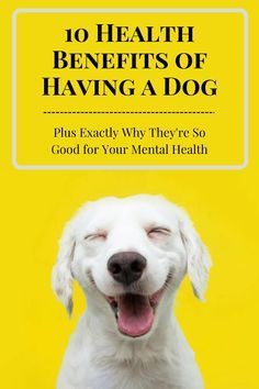 a white dog with its mouth open and the words 10 health benefits of having a dog