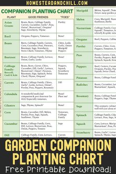 the garden companion plant chart is shown