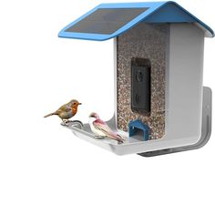 two birds are perched on a bird feeder that has a solar panel attached to it