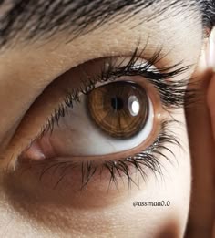 Pin di Azieyah su Eyes | Occhi, Occhio umano, Disegno di visi