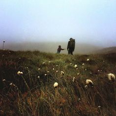 two people standing on top of a grass covered hill