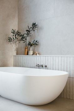 a large white bath tub sitting in a bathroom next to a plant on the wall