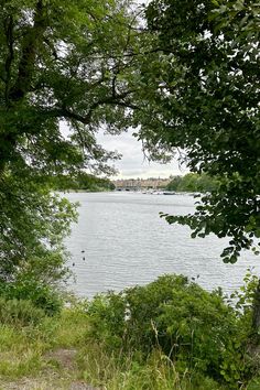 a bench sitting on the side of a lake