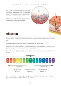 брови оформление бровей окрашивание бровей хна для бровей оформление бровей воском brow xenna брови паста#брови #brows #моделированиебровей #формабровей  #татуажбровей #бровикраской #правильныеброви #пудровыебровиобучение #учебнаяметодичка #строениекожи Makeup Morphe, Instagram Apps, School Nails, Brow Lash, Lash Lift, Beauty Store, Microblading, Eyelash Extensions