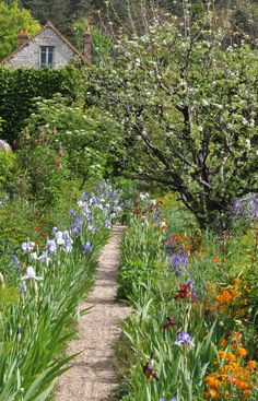 a garden with lots of colorful flowers and trees in the background, along with a path leading to a house