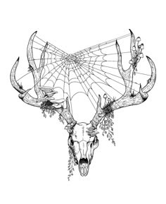 a drawing of a deer's head with antlers and spider web on it