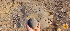 a hand holding a rock in the middle of a dirt field with holes in it