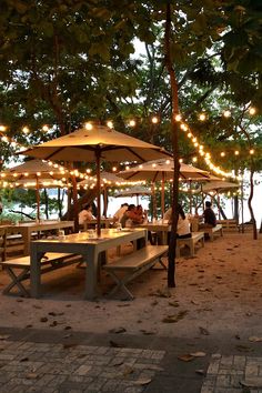 people sitting at tables under umbrellas with lights strung over them on the beach in front of trees