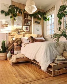 a dog laying on top of a bed in a room with wooden floors and plants