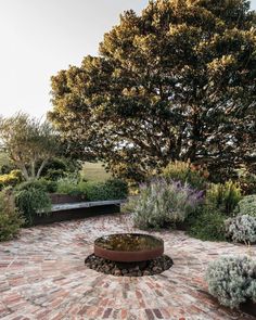 a brick patio with an outdoor fire pit surrounded by plants and trees in the background