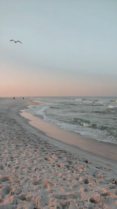 two birds flying over the ocean on a sandy beach at sunset with waves coming in