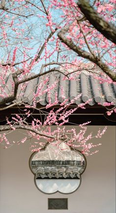 a tree with pink flowers in front of a building and a mirror on the wall