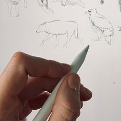 a person holding a pen in their left hand and drawing different animals on the paper