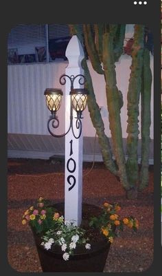 a white pole with two lights on it next to a potted cacti