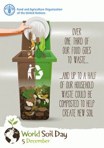 World Soil Day, Environmentally Friendly Living, Household Waste, Environmental Awareness