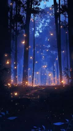 a forest filled with lots of lit up trees in the night time, surrounded by bright lights