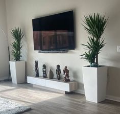 a flat screen tv mounted to the side of a wall next to potted plants