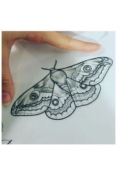 a drawing of a moth on paper with a hand holding it up to the camera