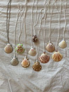 seven seashells are hanging on a white sheet