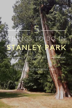 a large tree with the words 5 things to do in stanley park on it