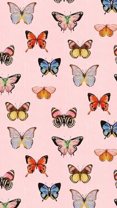 many different colored butterflies on a pink background