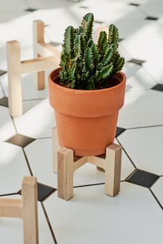 a potted plant sitting on top of a wooden stand