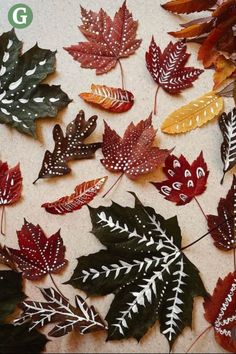 Charming display of leaves emphasizing the colors of autumn. Fall Leaf Crafts, Sunny Nature, Nature Crown, Autumn Leaves Craft, Nature Family, Homeschool Crafts, Leaf Crafts, Autumn Crafts