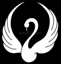 a white swan on a black background royalty illustration