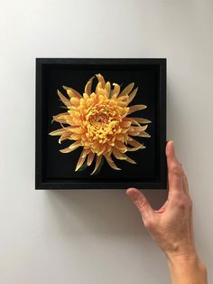 a hand is holding up a yellow flower in a black frame