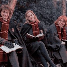 Golden Trio, Hogwarts, Fan, Books