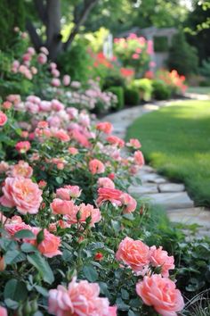 pink roses are blooming along the side of a stone path in front of green grass and trees