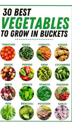 the 30 best vegetables to grow in buckets poster is shown with different types of vegetables