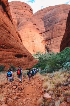 group of people hiking in the desert with large rocks and green plants on either side